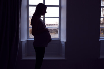 Silhouette Of Loving Pregnant Woman Standing By Window Touching Stomach