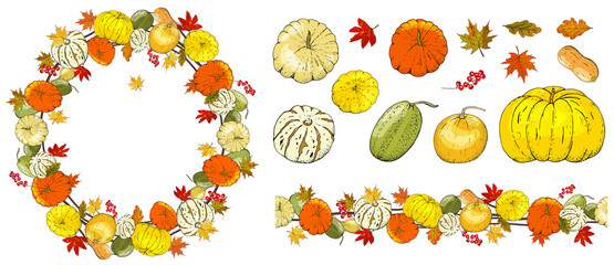 Set of autumn elements isolated on white background. Pumpkins, leaves