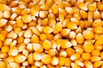Popcorn Mais