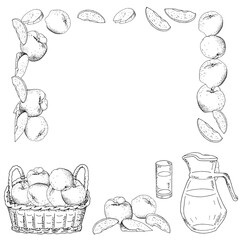 Square template with apples, apple slices. Hand drawn food illustration.