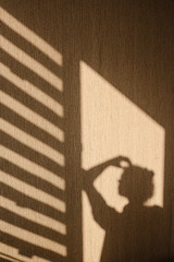 Silhouette of young woman thinking with her hand touching her head in the morning at home. Contrast...