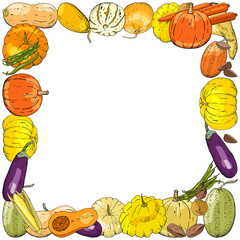 Horizontal Square autumn rectangle colored frame composed of different fresh vegetables.