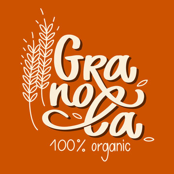 Granola logo organic food vector. Lettering composition and stylized spikelets with grains. Calligraphy. Healthy food logotype for package, label.