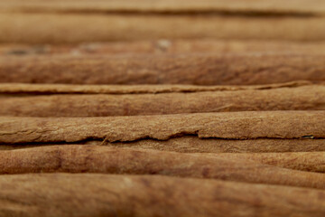 Cinnamon close up on a white background