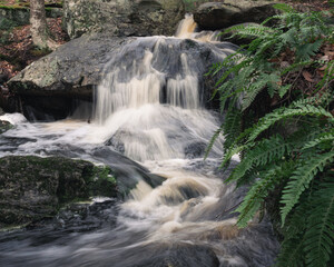 A fern filled waterfall on Falls Brook in Royalston Massachusetts