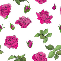 Flowers seamless pattern. Vector hand drawn illustration of roses.