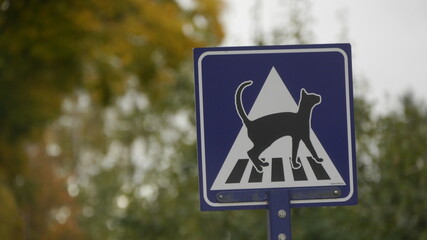 Verkehrsschild Zebrastreifenschild mit Katze - Achtung aufpassen - 398266671