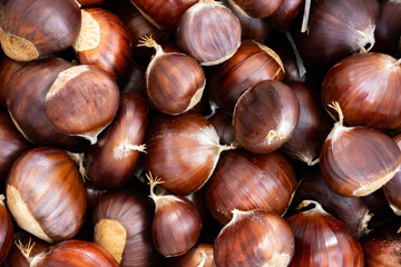 Closeup of a group of chestnuts