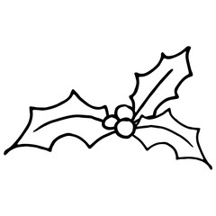 Holly berry and leaves. Vector illustration of Christmas holly decor.