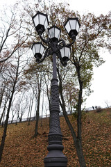 Forged, iron lantern in the park