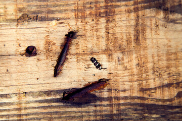 Texture of old wood, boards.
