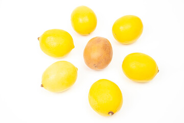 Rotten lemon next to fresh lemons on a white background
