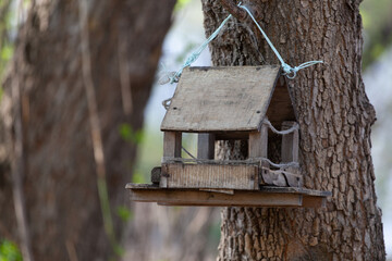 wooden bird house