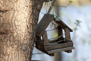 bird house on tree