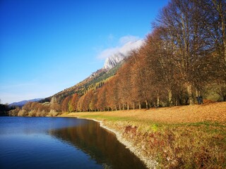 Bergsee Alpen im Herbst