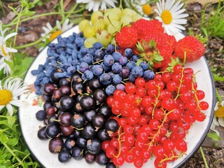 blueberries and raspberries