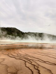Yellowstone National Park Wyoming Hot Spring Geyser	