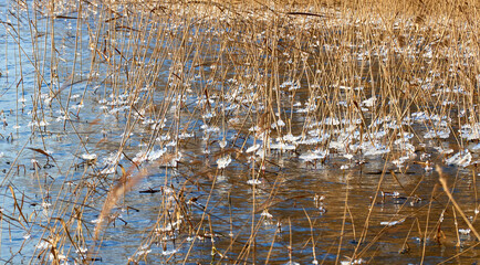 water drops on the water