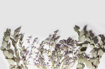 Dried flowers and leaves with shadows at isolated gray background, home decoration bouquet 