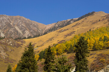 Mountain landscape in autumn. Mountains in yellow colors.
