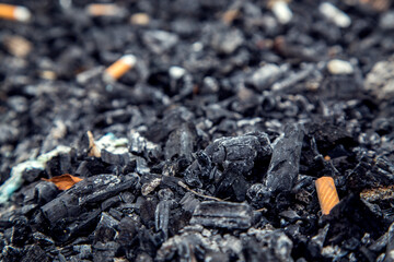 Cigarette filters on charcoal in an extinct fire.