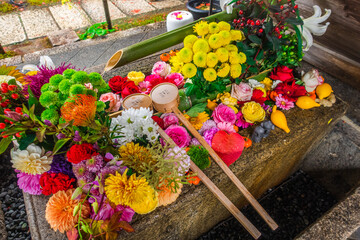 京都 秋の勝林寺と風情感じる紅葉景色