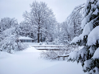 Japanese garden in winter. The tea house, the footbridge and plants are covered with pure fluffy snow.