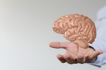 brain network neurogen digital iq