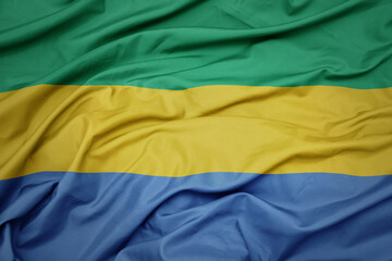 waving colorful national flag of gabon.