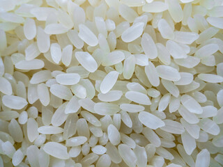 close up macro white rice 