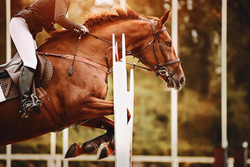 A strong, fast Bay racehorse with a rider in the saddle jumps a high barrier, illuminated by...