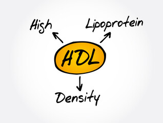 HDL - High-density lipoprotein acronym, medical concept background