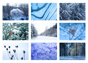 Collage of 9 winter nature photos. Xmas and new year mood, beautiful landscape and nature photos of forest, ice, snowflakes. Frozen nature. Floral winter. Soft focus.