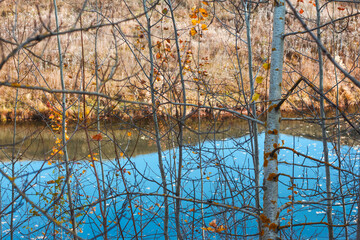 Obraz premium blue pond in autumn with a steep Bank, view through the aspen trees