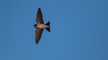 Vicente Vidal Fernandez