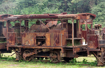 Fototapeta na wymiar Sao Paulo, Brazil: wagon carcasses and steam locomotive in the Paranapiacaba railway station