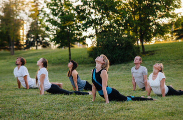 Naklejka na ściany i meble A group of people do yoga in the Park at sunset. Healthy lifestyle, meditation and Wellness