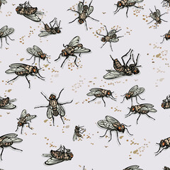fly, insect, various poses, movements and foreshortenings of figures, black, color, pattern