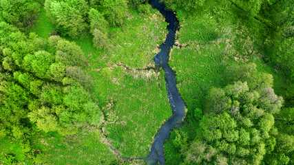 Aerial. Drone fly above the river, green meadow and forest. Spring nature landscape. Top view from drone.