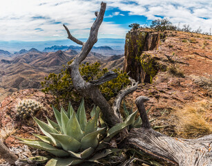 Southwest Rim And The Chisos Mountains Across The Chihuahuan Desert, Big Bend National Park, Texas, USA