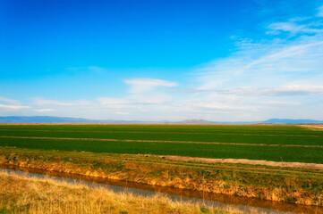 Obraz premium Federal Agriculture Land in Modoc County
