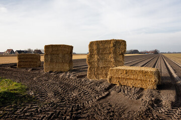 Stacked straw bales in a field in nice low light