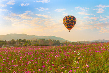 Color balloon over Beautiful Cosmos Flower in park
