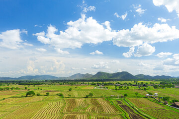 Aerial view (drone shot) of green terraced rice field at Pa Pong Pieng,Chiangmai Thailand 