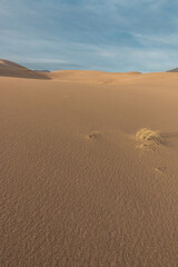 Obraz na płótnie Canvas Wind Blown Sand Dunes of Great Sand Dunes National Park, Colorado, USA