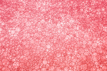 Red macro beverage surface,Juice - Drink, Textured, Textured Effect, Wine, Liquid