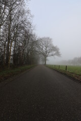Fototapeta na wymiar A quiet Dutch country road at the end of autumn surrounded by fog.
