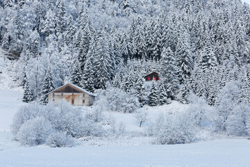 Les Vosges en hiver