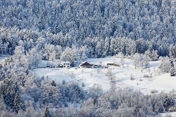 Les Vosges en hiver