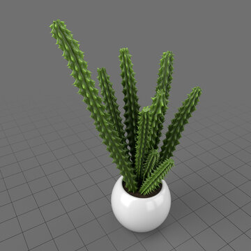 Decorative potted plant 7